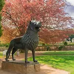 City-ferienwohnung-blankenburg * Blankenburg (Harz)